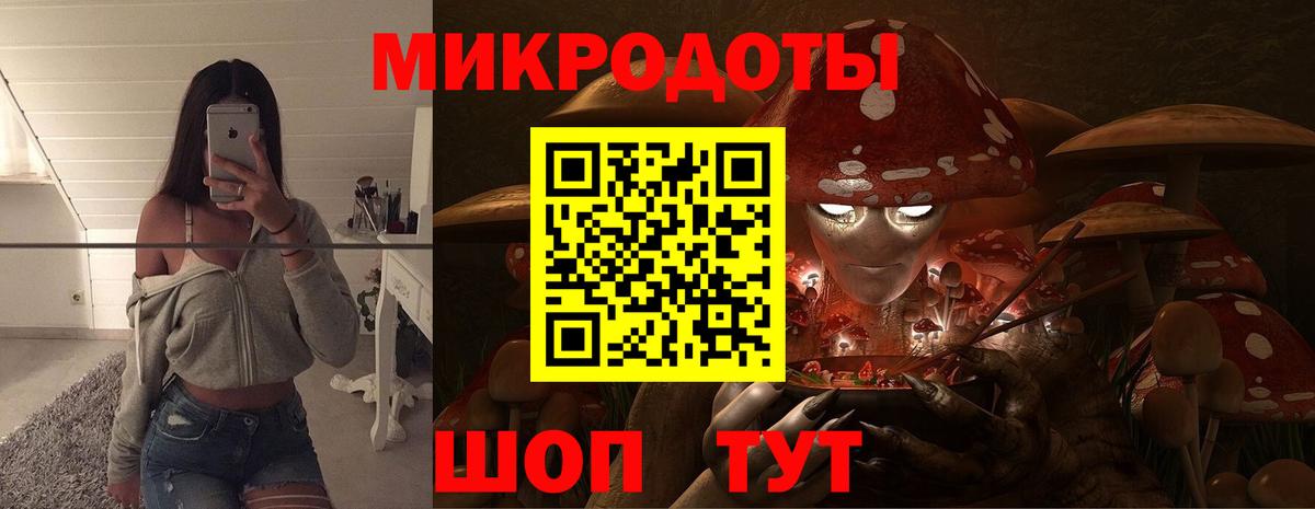 Псилоцибиновые грибы Psilocybine cubensis Павлово