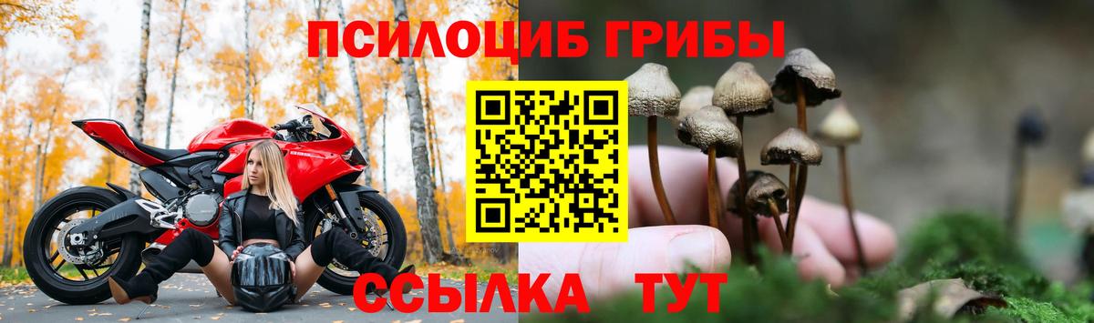Псилоцибиновые грибы GOLDEN TEACHER  Вход с VPN  Павлово  Галлюциногенные грибы Psilocybe 